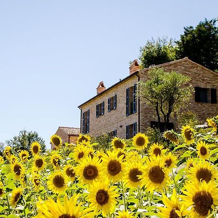 Casavostra - Ambience Suites Ostra Vetere Kültér fotó